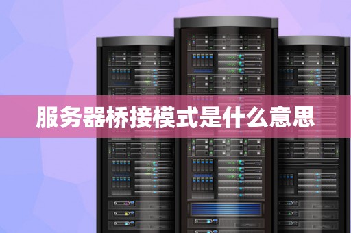 服务器桥接模式是什么意思