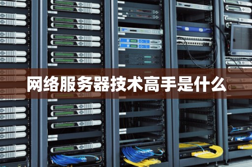 网络服务器技术高手是什么