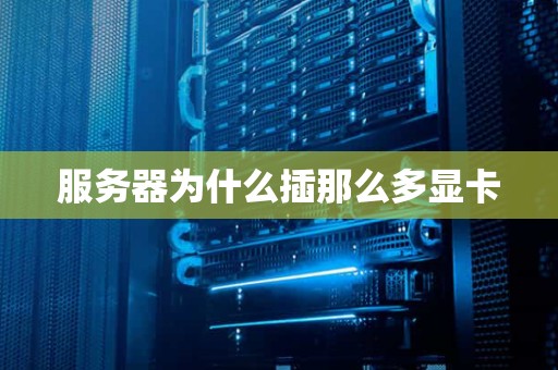 服务器为什么插那么多显卡