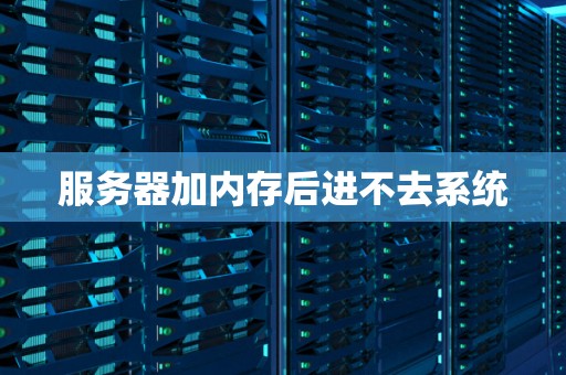 服务器加内存后进不去系统