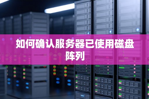 如何确认服务器已使用磁盘阵列