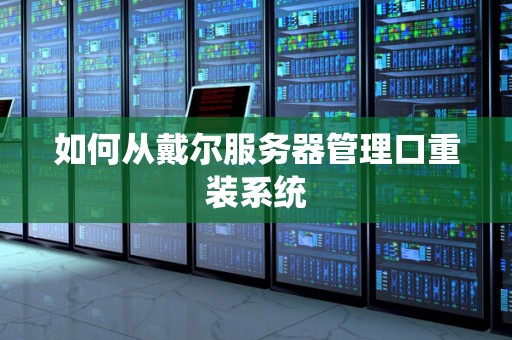 如何从戴尔服务器管理口重装系统