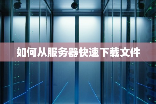 如何从服务器快速下载文件