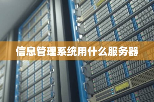 信息管理系统用什么服务器