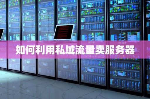 如何利用私域流量卖服务器