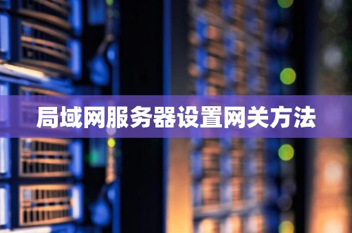 局域网服务器设置网关方法