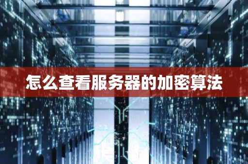 怎么查看服务器的加密算法 怎么查看服务器的加密算法