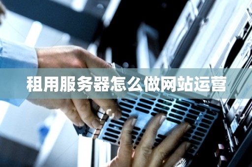 租用服务器怎么做网站运营