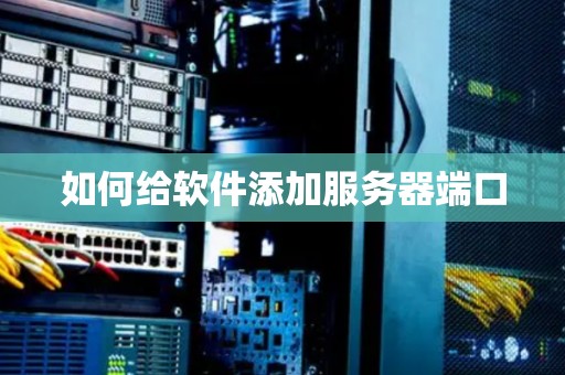 如何给软件添加服务器端口