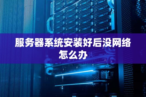 服务器系统安装好后没网络怎么办