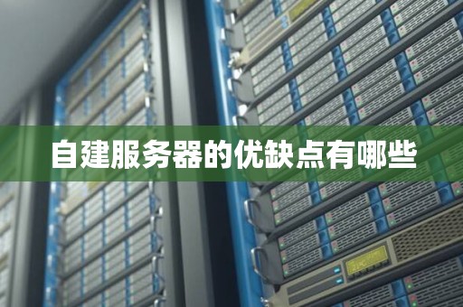 自建服务器的优缺点有哪些