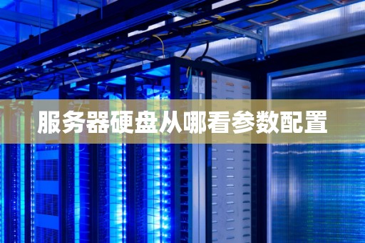 服务器硬盘从哪看参数配置