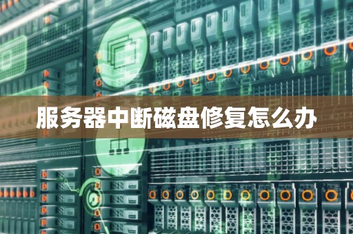服务器中断磁盘修复怎么办 服务器中断磁盘修复怎么办