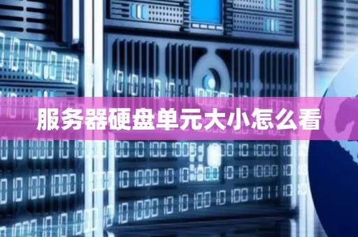 服务器硬盘单元大小怎么看