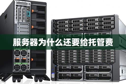 服务器为什么还要给托管费