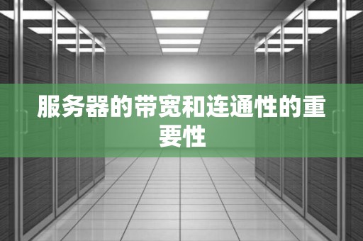 服务器的带宽和连通性的重要性