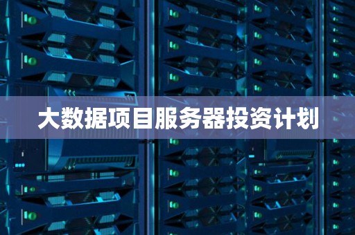 大数据项目服务器投资计划