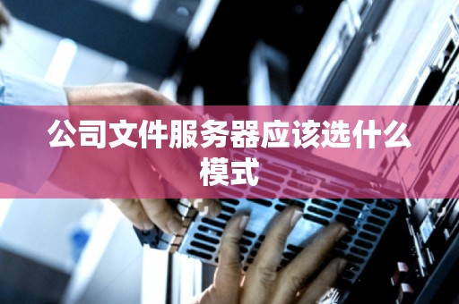 公司文件服务器应该选什么模式