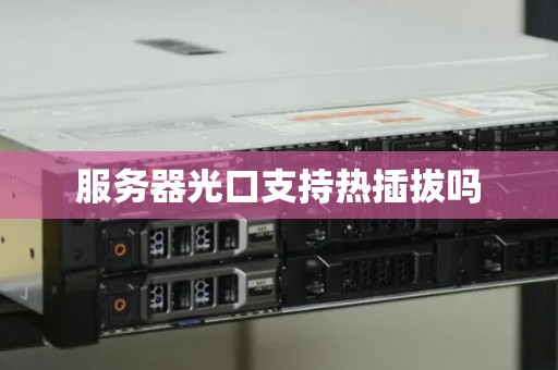服务器光口支持热插拔吗