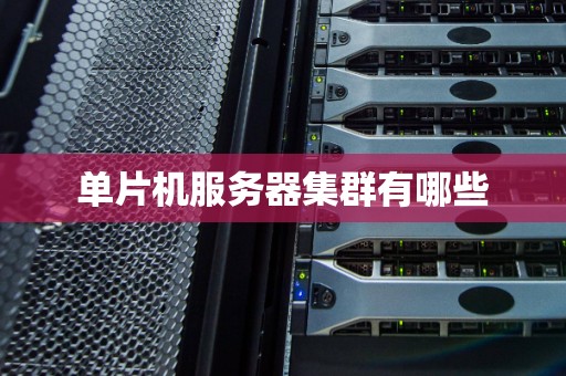 单片机服务器集群有哪些