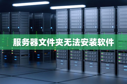 服务器文件夹无法安装软件