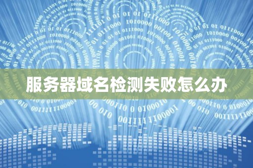 服务器域名检测失败怎么办