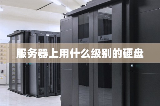 服务器上用什么级别的硬盘