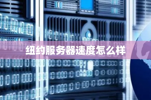 纽约服务器速度怎么样 纽约服务器速度怎么样