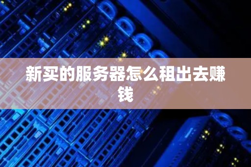 新买的服务器怎么租出去赚钱