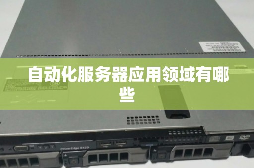自动化服务器应用领域有哪些