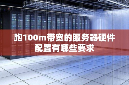 跑100m带宽的服务器硬件配置有哪些要求