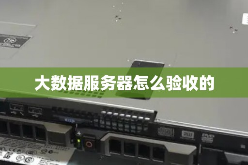 大数据服务器怎么验收的