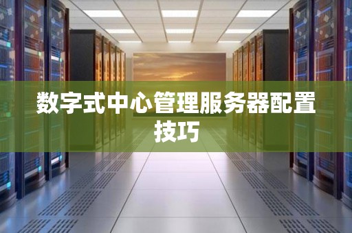 数字式中心管理服务器配置技巧