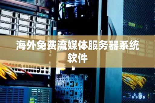 海外免费流媒体服务器系统软件