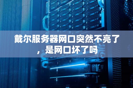 戴尔服务器网口突然不亮了，是网口坏了吗