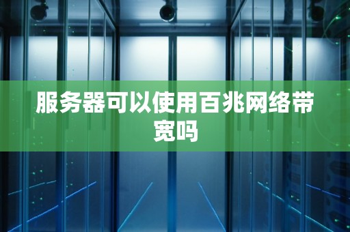 服务器可以使用百兆网络带宽吗
