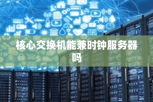 核心交换机能兼时钟服务器吗