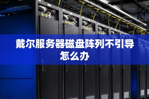 戴尔服务器磁盘阵列不引导怎么办