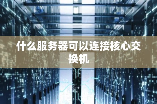 什么服务器可以连接核心交换机
