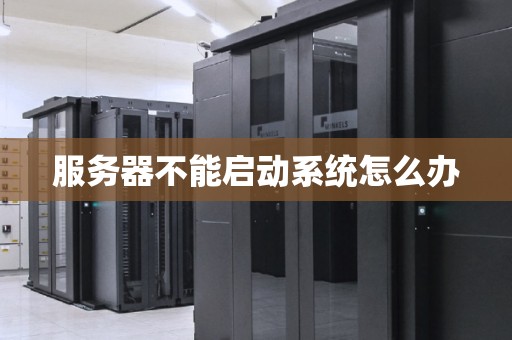 服务器不能启动系统怎么办