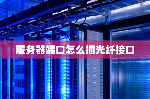服务器端口怎么插光纤接口