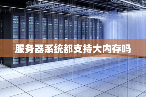 服务器系统都支持大内存吗