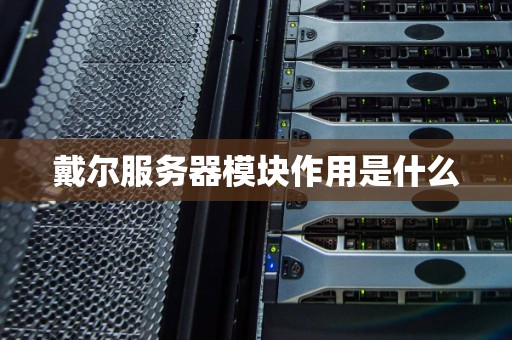 戴尔服务器模块作用是什么