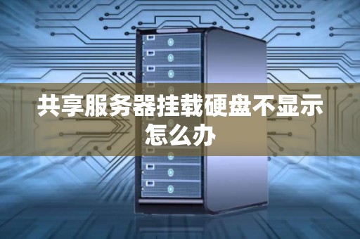 共享服务器挂载硬盘不显示怎么办
