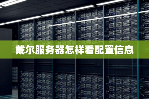 戴尔服务器怎样看配置信息 戴尔服务器怎样看配置信息