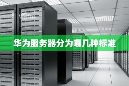 华为服务器分为哪几种标准