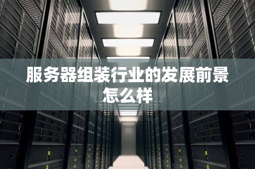 服务器组装行业的发展前景怎么样