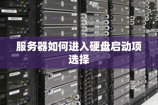 服务器如何进入硬盘启动项选择 服务器如何进入硬盘启动项选择