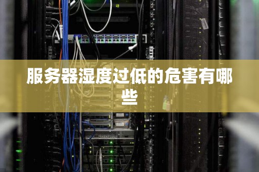服务器湿度过低的危害有哪些 服务器湿度过低的危害有哪些