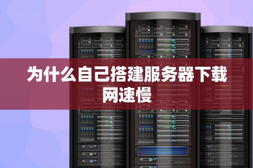 为什么自己搭建服务器下载网速慢